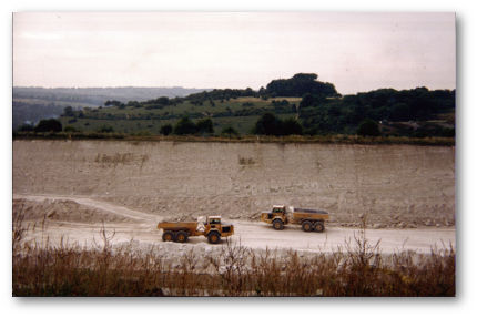 St Catherine's Hill from Twyford Down