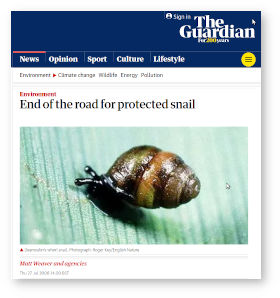 The Newbury snail